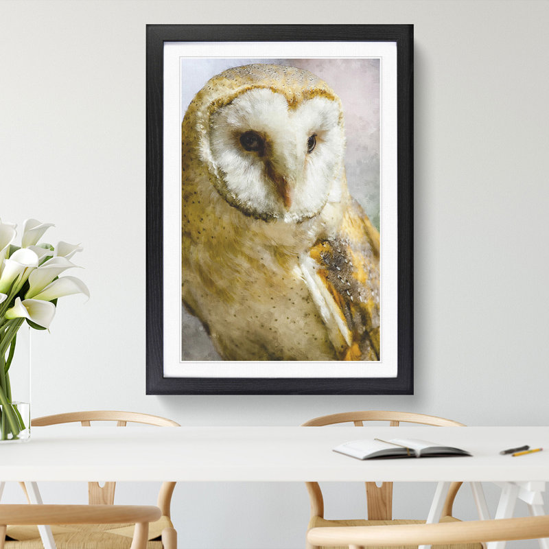 Barn Owl Vol.2 - Picture Frame Painting, Black Framed, 48cm H x 36cm W x 2cm D