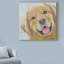 « dogs cosmo », reproduction d’impression sur toile tendue-33516912