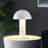 Viv Metal Desk Lamp-1839797132
