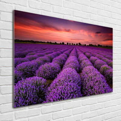 Lavender Fields Landscape - Wrapped Canvas Print