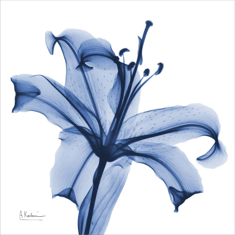 Plants & Flowers Wall Decor on Canvas