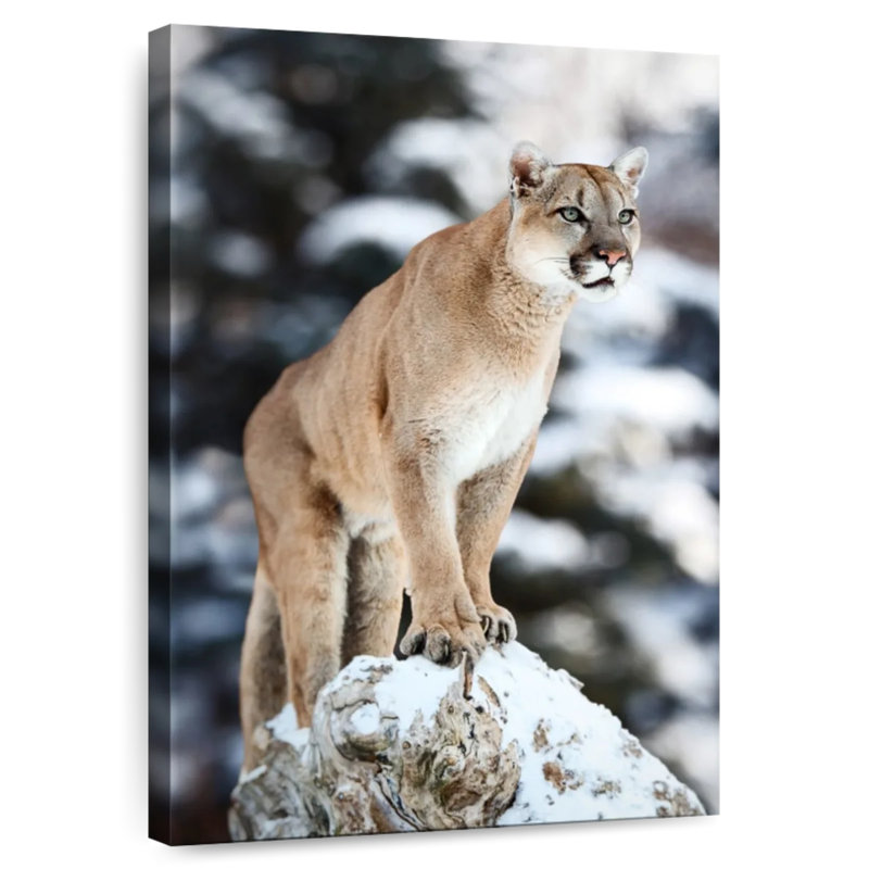 Brampt Winter Forest Cougar, 36" H x 24" W