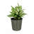 Barmore Pot Planter-1430069472-1444433355