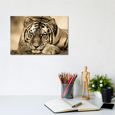 Tiger II 1 Piece Wrapped Canvas Wall Art