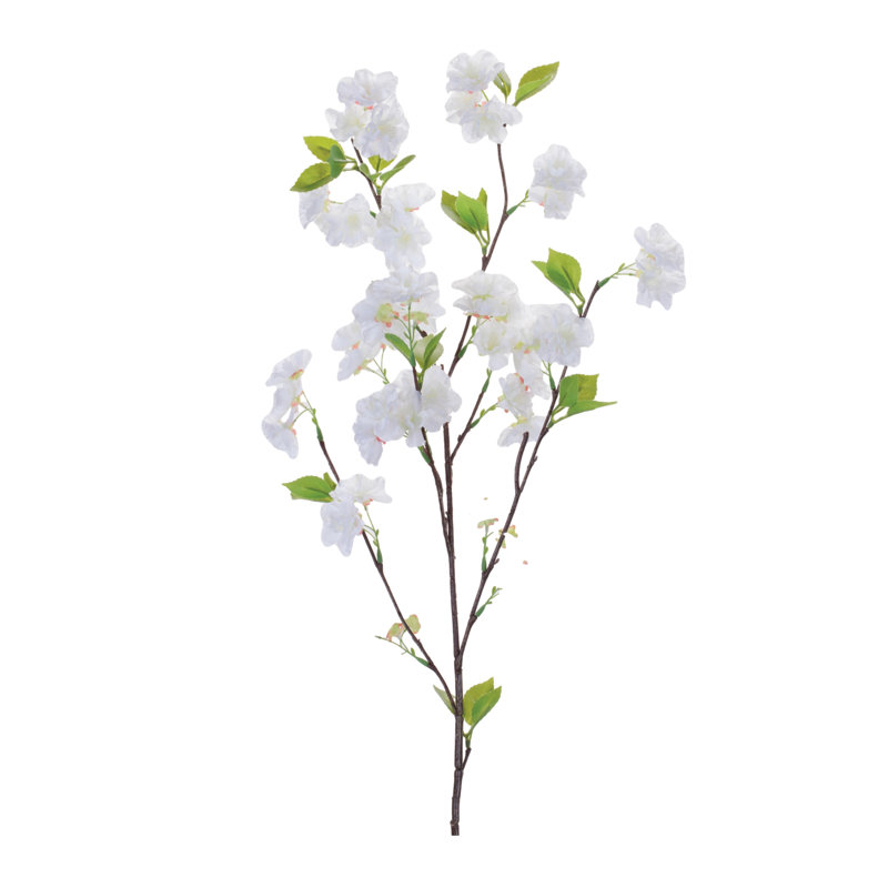 Apple Blossom Branch