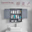 Kemp 56 mm W 58 mm H Mirrored Bathroom Cabinets and 2