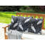 Pianazzo Indoor / Outdoor Rectangular Lumbar Cushion