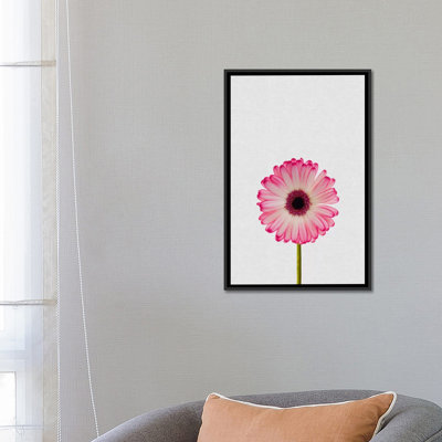 " Daisy " by Orara Studio