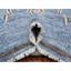 Tapis unique 8 pi x 9 pi 8 po Dionel