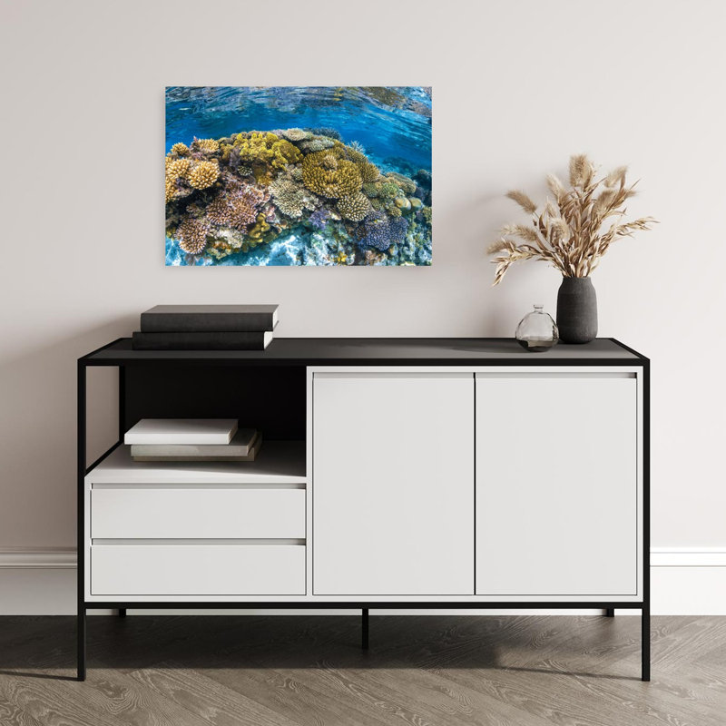 Impression murale Panoreef Ocean Tropical, H 16 po x l 24 po