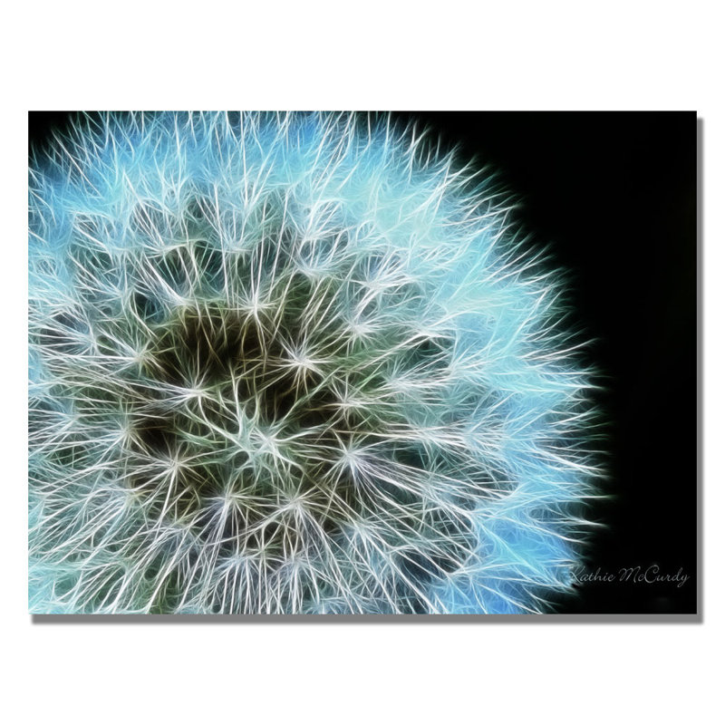 " Dandelion Seed Head Full " by Kathie McCurdy, 18" H x 24" W x 2" D