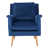 Navy Velvet