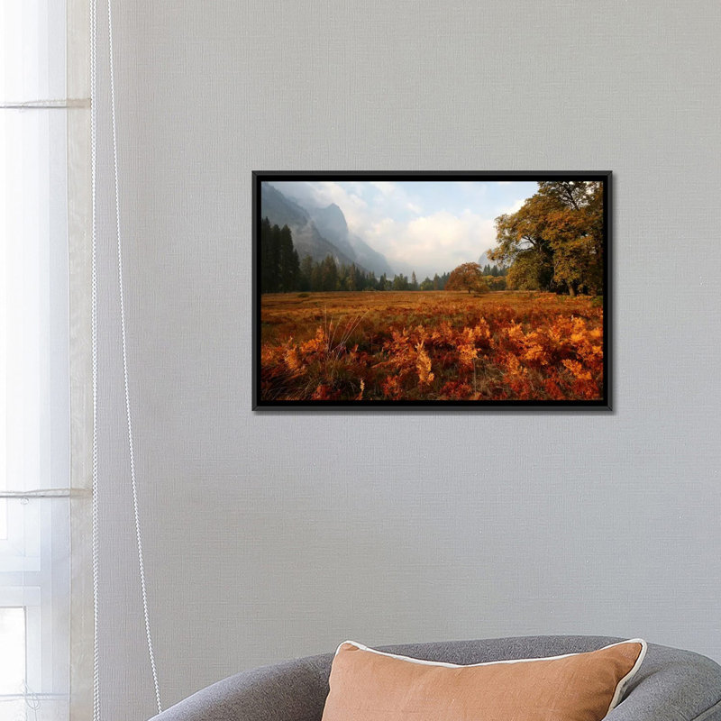 « pré », reproduction de photo sur toile, H 18 po x l 26 po x P 1,5 po, Toile avec cadre noir, Pas de tapis