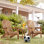Ensemble de 2 chaises de patio pliantes en bois Adirondack pour le jardin, le jardin, la pelouse, la cour, la terrasse, le bord de la piscine, le foyer d'extérieur