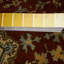 Oriental Area Rug in Orange