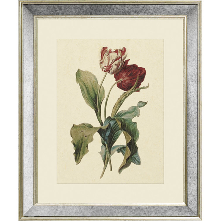 Tulips III - Single Picture Frame Print on Canvas