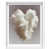 White Shadowbox