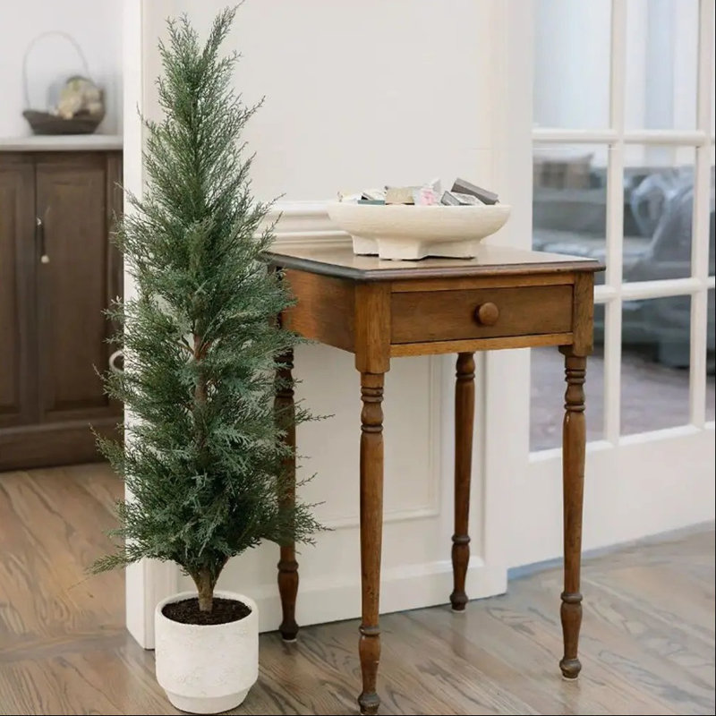 4' Cedar Tree