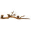 Oyster Mushroom Candleholder