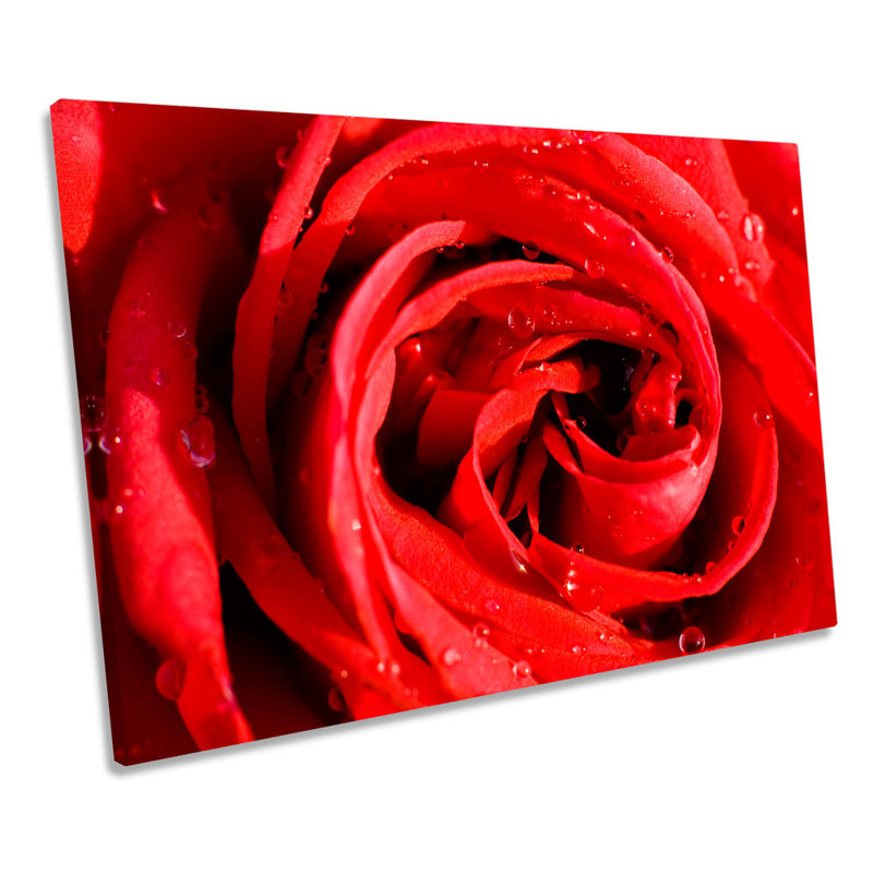 Red Rose Flower Floral - Wrapped Canvas Art Prints, 30.5cm H x 45.7cm W