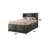 Elyne Bookcase Storage Bed-1690148628