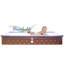 Circle Crib Mattress Base with Sleep Surface