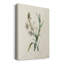 «Traditional Botanical IV», impression sur toile tendue-1109877876