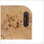 Tablette murale flottante Burl-684781704