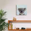 "Lil Koala" par Lucia Heffernan-1621722263