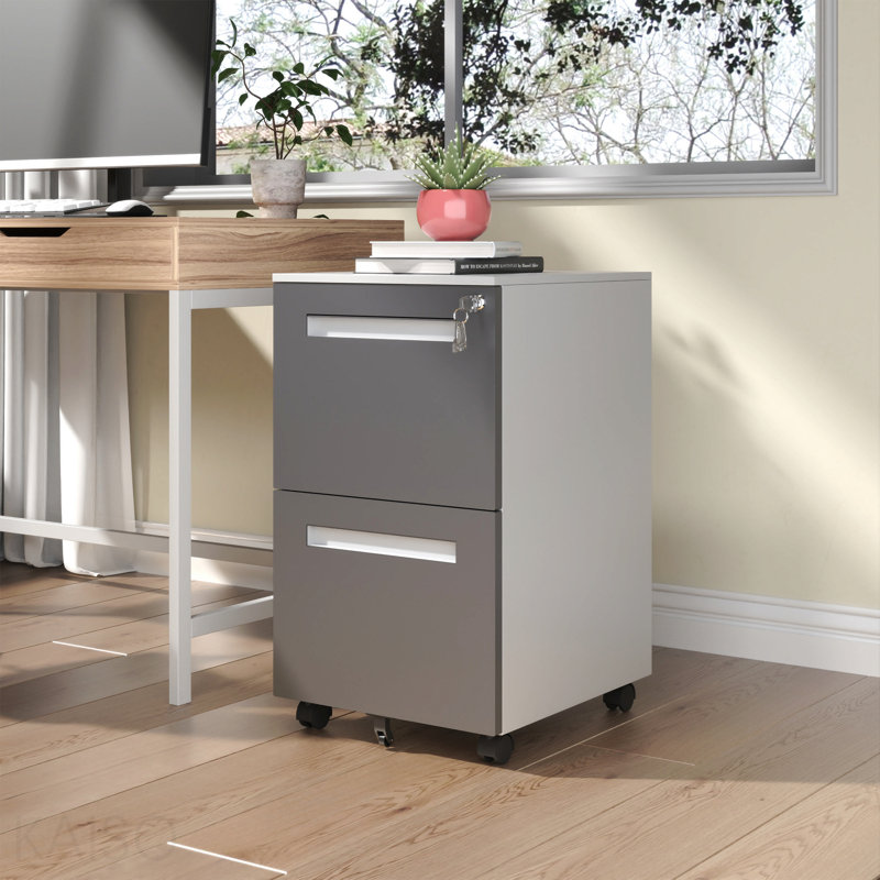 2-Drawer Mobile File Cabinet With Lock, All-Steel Metal Storage Cabinet On 360° Wheels, For Home Office & Commercial Use, Fully Assembled, Holds A4/Letter/Legal Files, 110lbs/Drawer Capacity