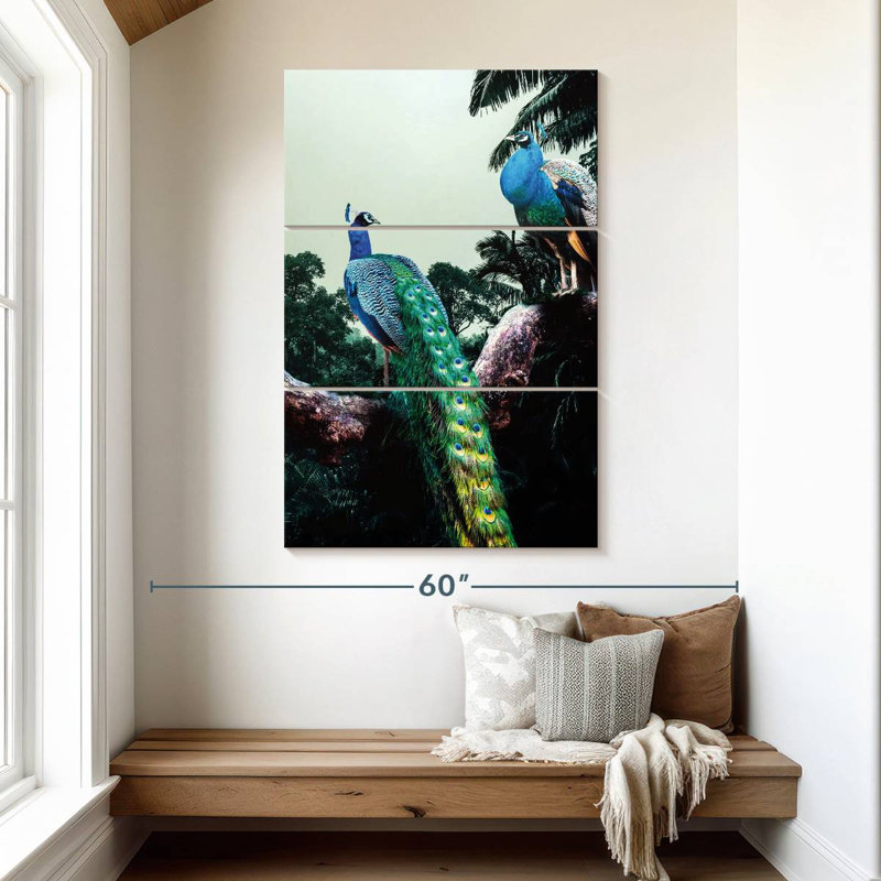 Brampt Peacock Duo, 50" H x 32" W