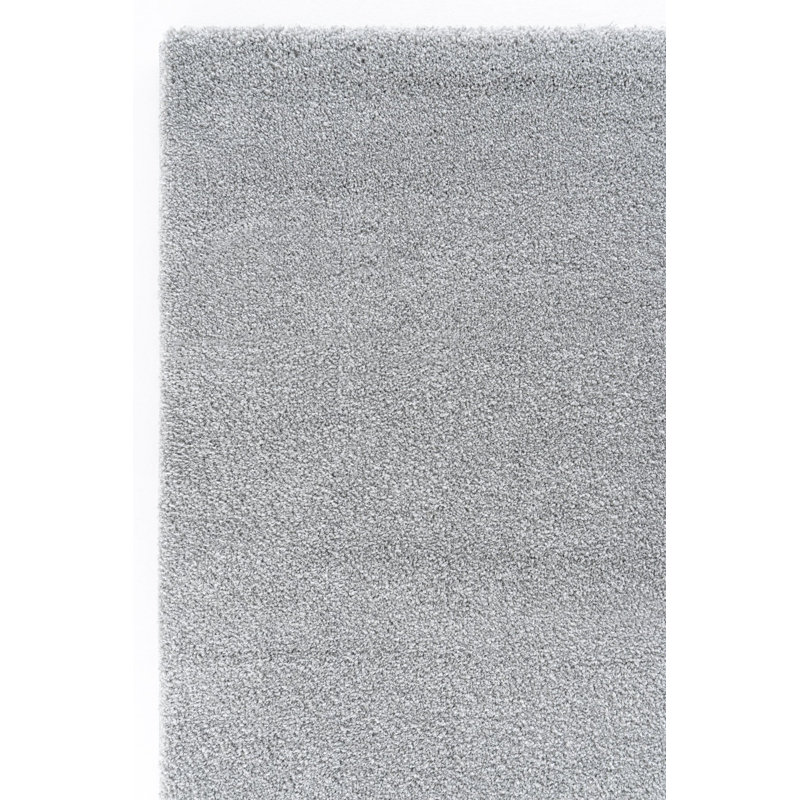 Rasun Solid Colour Machine Made Indoor / Outdoor Area Rug, Rectangle 2'7" x 4'11"