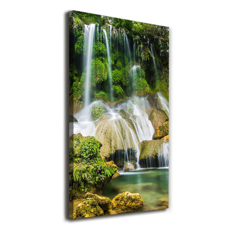 Tomatoes Under Water - Wrapped Canvas Print