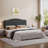 Damerius Curved Upholstered Headboard With Adjustable Height & Easy Plug-In Mount, Scratch-Resistant Towel Velvet-330279720-330279716