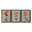 «Botanical Array VII», ensemble de 3 reproductions d'art sur toile-593053773-593053763