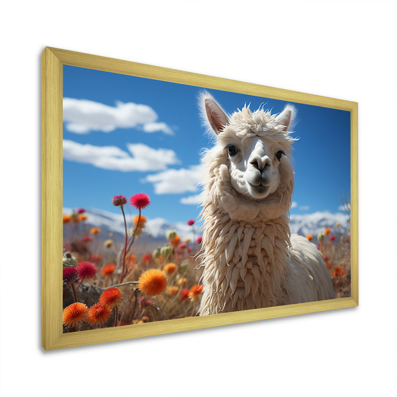 Beige noir lama dans un champ de fleurs, reproduction de photo sur toile, H 34 po x l 44 po x P 1,5 po, Cadre doré simple