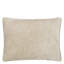 Cartouche Decorative Pillow-704875025