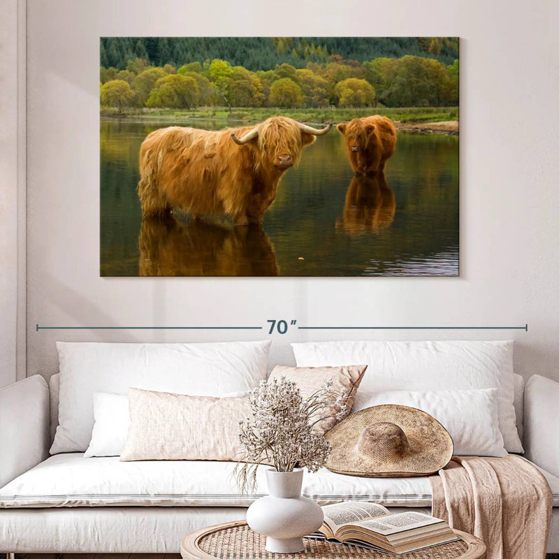 Brampt Bathing Highland Cow, H 34 po x l 51 po