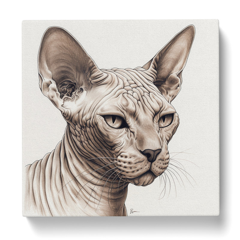Sphynx Cat No.1 - Wrapped Canvas - Framed Print