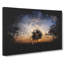 Three Trees At Sunset Paint Splash - Wrapped Canvas-61883344