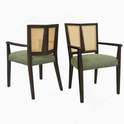Dining Chair(Dark Brown+Green) Set Of 2