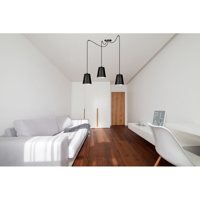 Pasley 3 - Light Cluster Pendant, Black/White