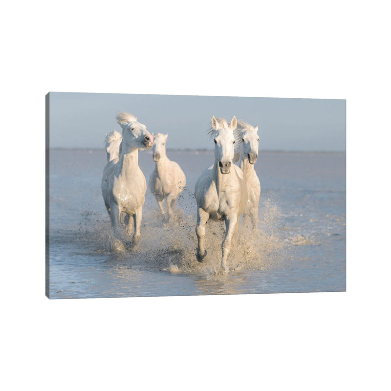 Horses by Rostovskiy Anton - Wrapped Canvas Print, 101.6 cm H x 66.04 cm W x 1.91 cm D