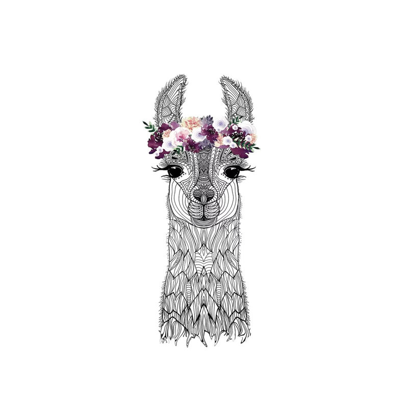 Flower Girl Alpaca by Monika Strigel - Wrapped Canvas Print, 152.5 cm H x 101.5 cm W