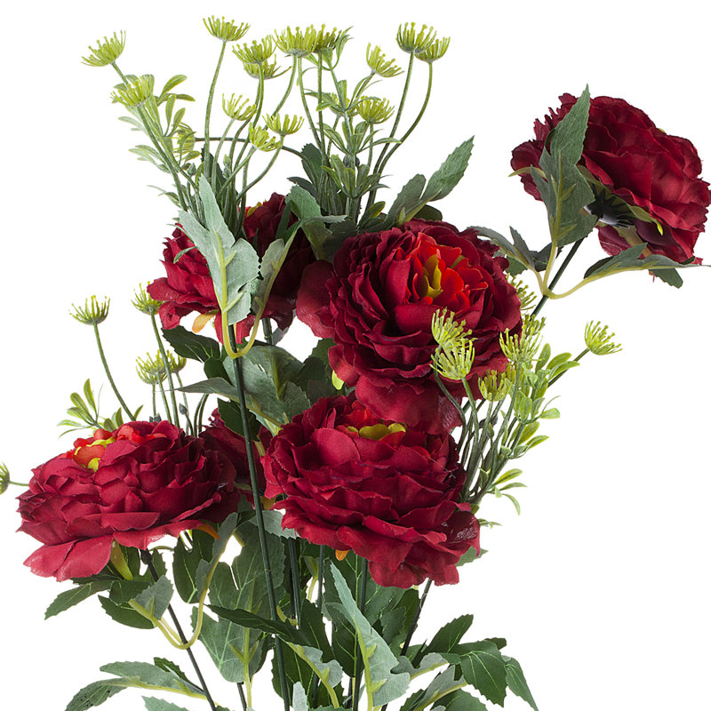 Tiges de pivoines, Rouge