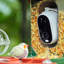Mangeoire à oiseaux intelligente avec caméra, oiseaux intelligents, panneau solaire, cage à oiseaux intelligente avec caméra, cadeau parfait pour les amoureux des oiseaux