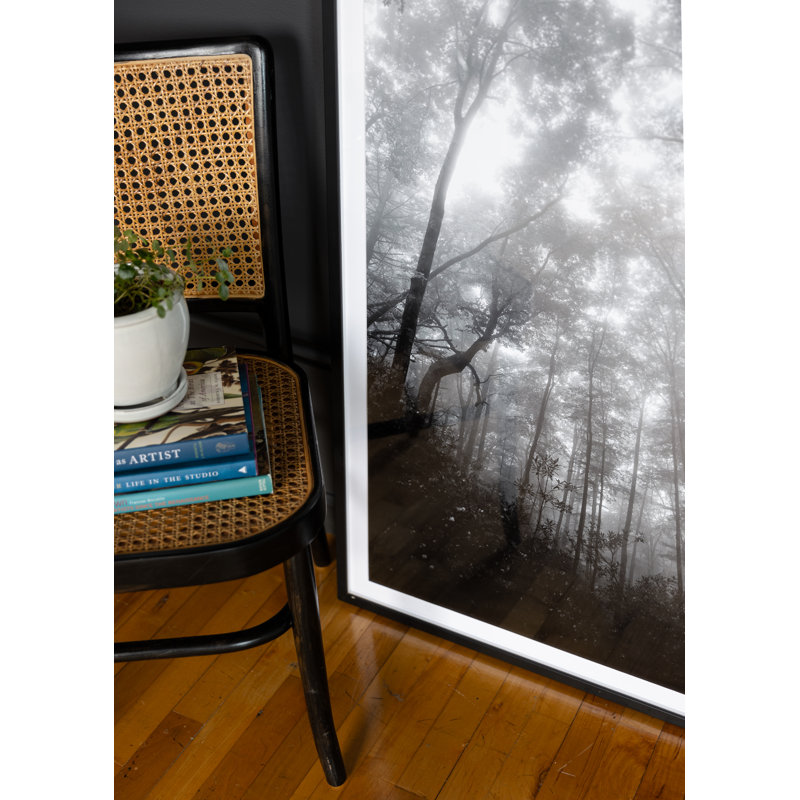 Landscape & Nature Print, Black, 36" H x 24" W x 1.88" D