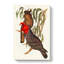 Gang-Gang Cockatoos by Elizabeth Gould - Wrapped Canvas Painting-55366196
