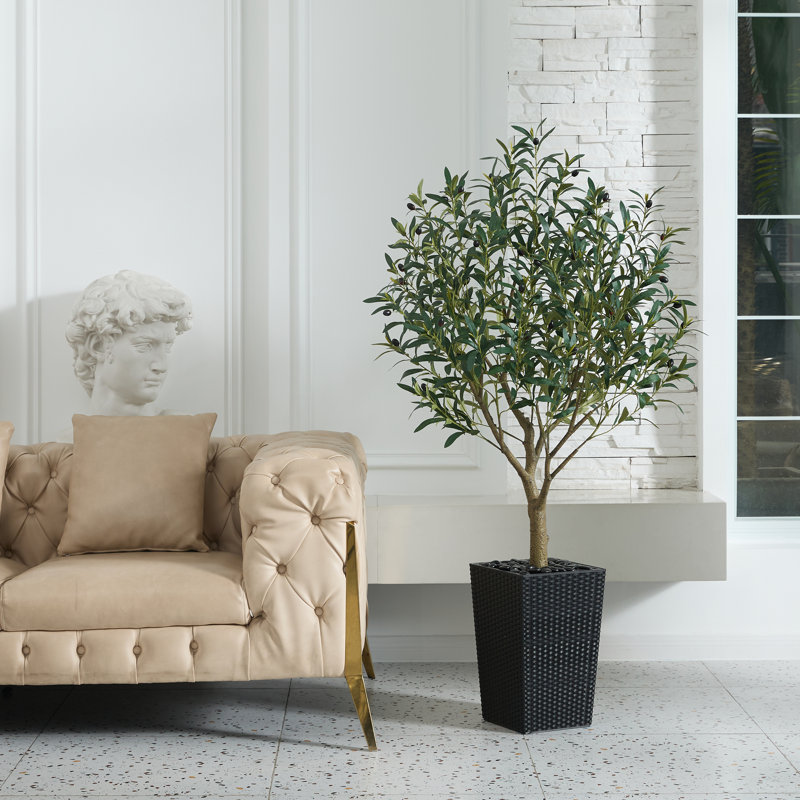 Olive artificielle Altera résistante aux rayons UV de 5 pi pour la décoration intérieure et extérieure, grande base en plastique avec galets