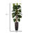 Panama 66'' Artificial Scindapsus Aureus Tree in Planter